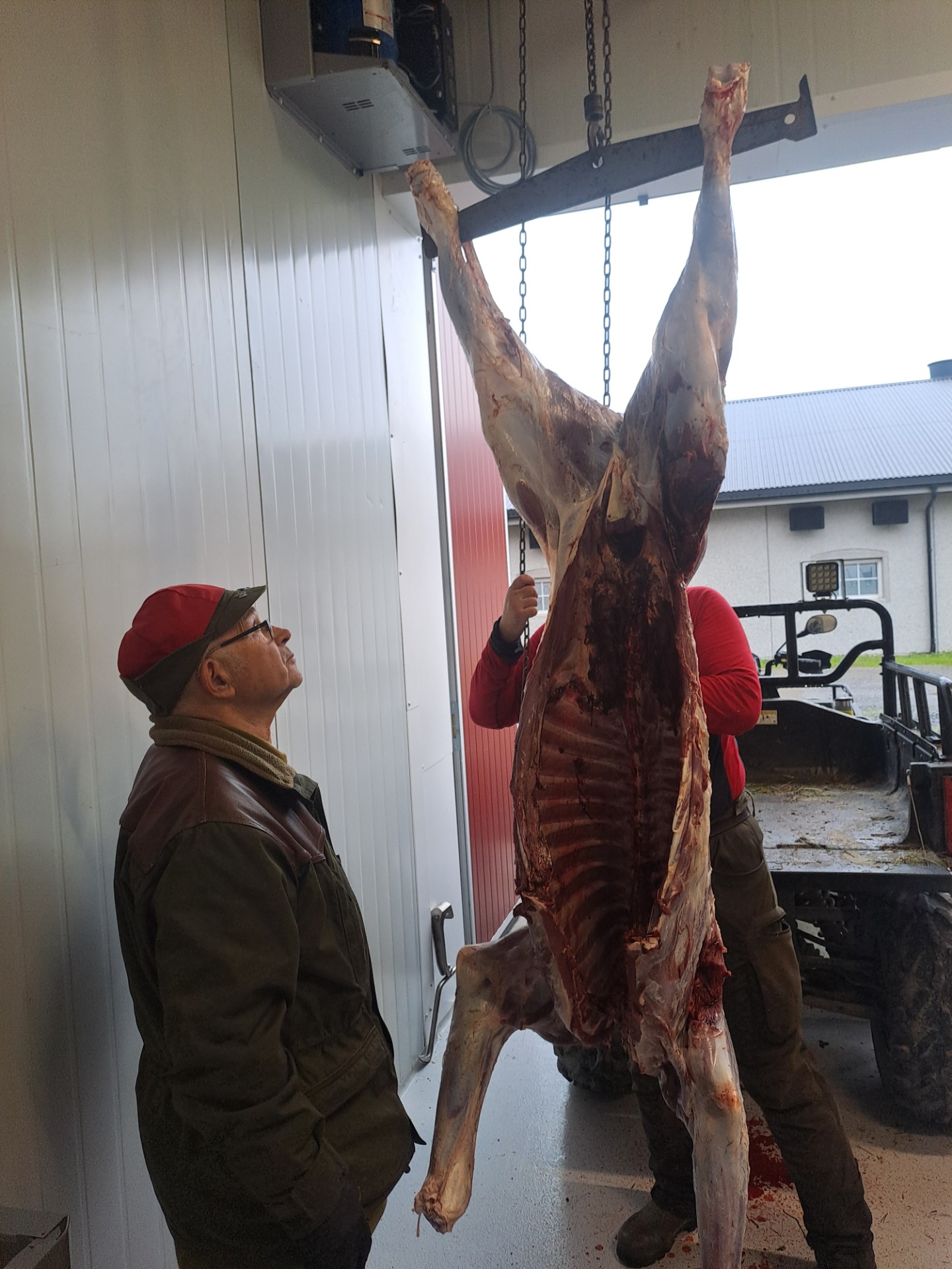 Vi er heldige og har en flott kjøle som en av grunneierne stiller til vår rådighet.