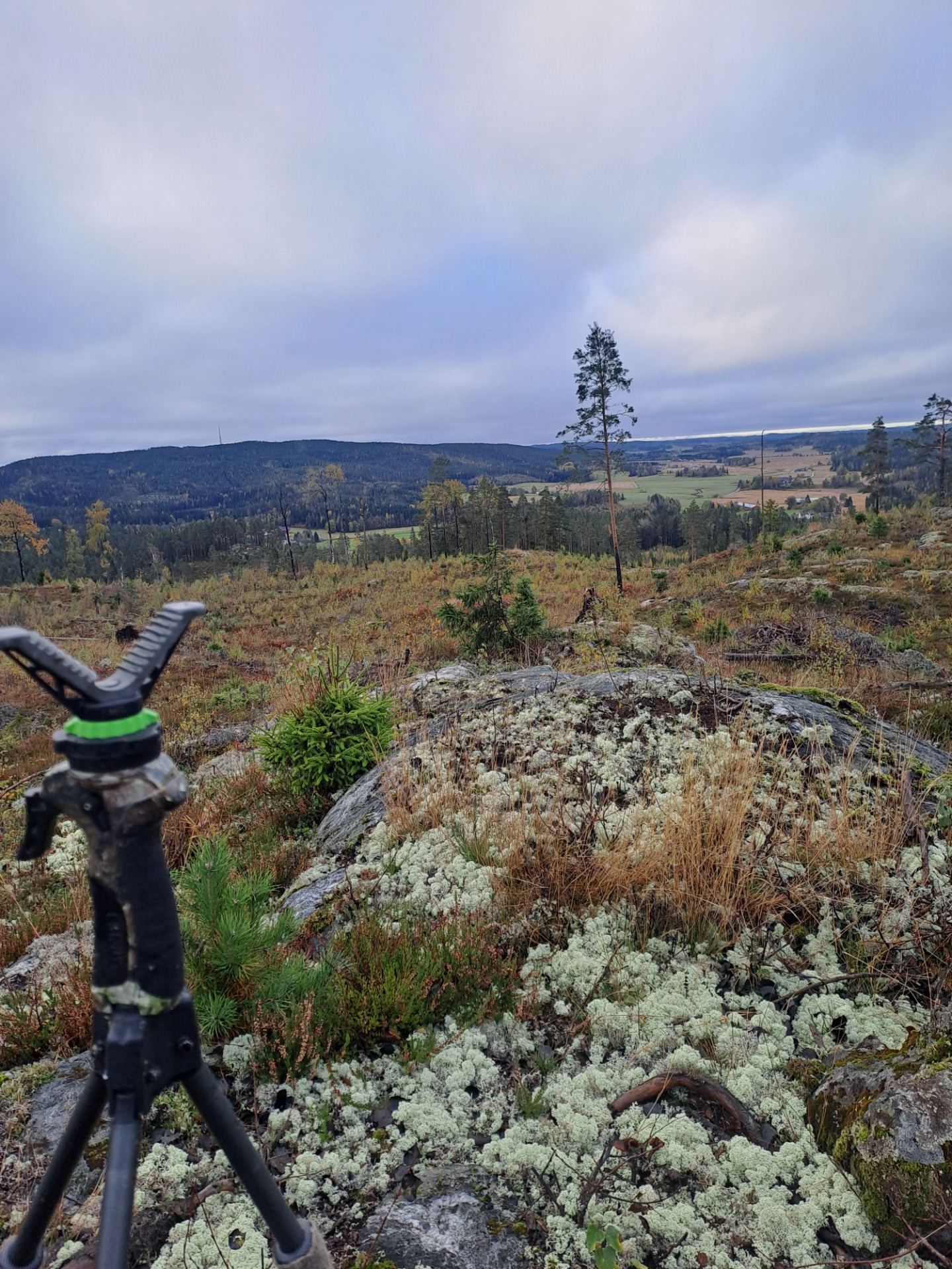 Denne blandingen av skog og kulturlandskap gir en flott ramme for jakta