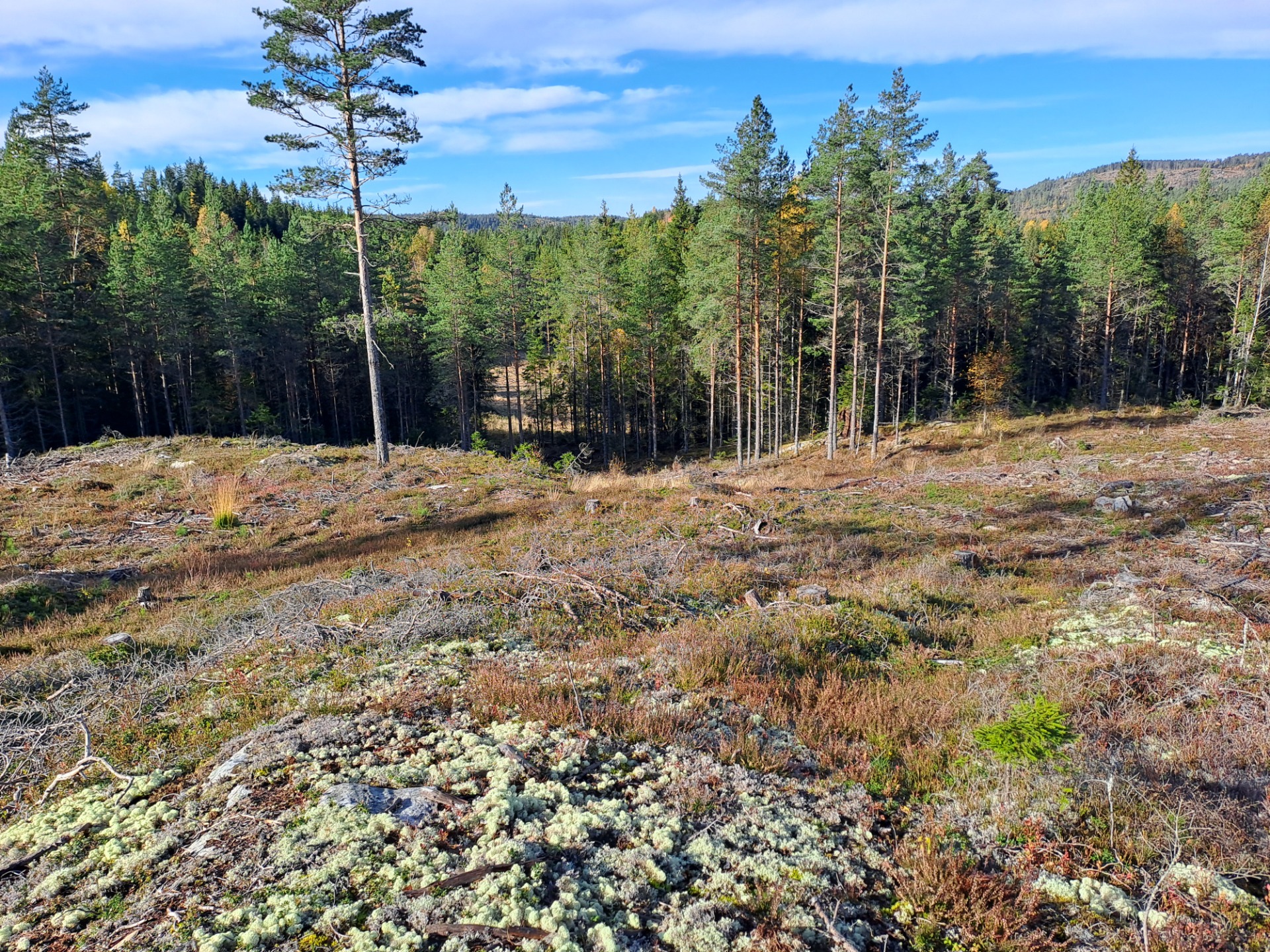 Dag 4 byr på sol varme og los, men ingen fall.