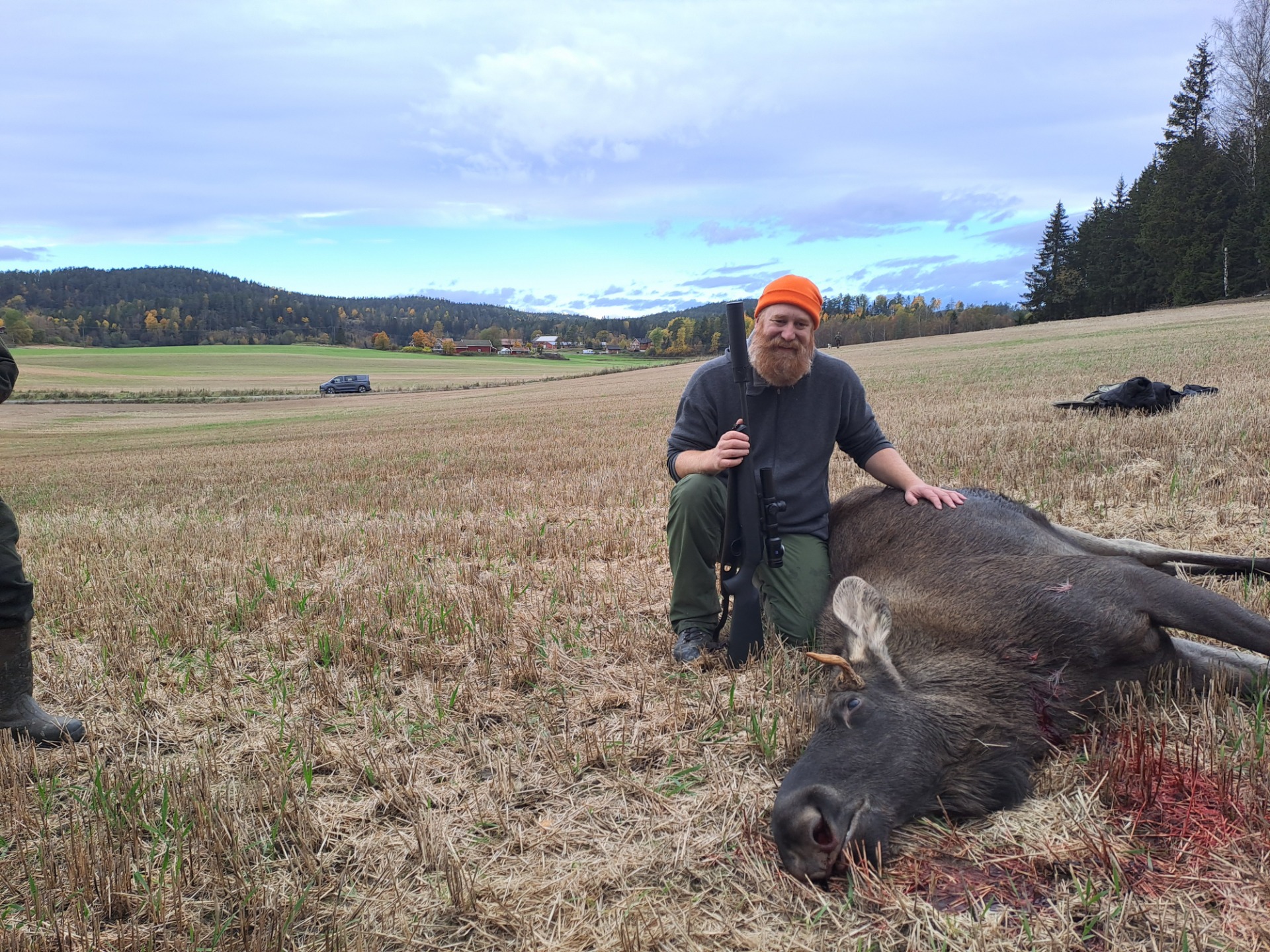 Henrik nøler ikke når piggoksen endelig kommer ut av Gullknappen og krysser åkeren nedenfor hogstflata.