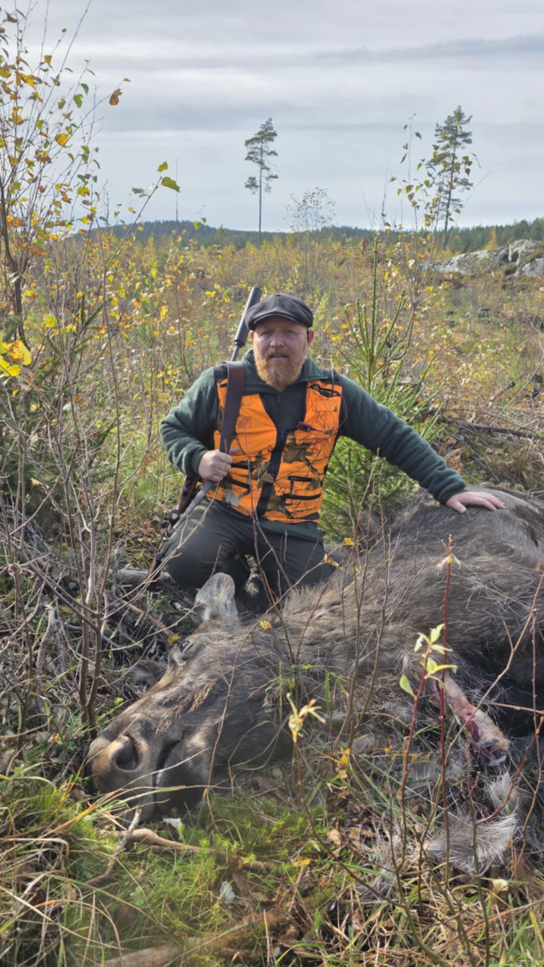 Det er et stort dyr, som skal vise seg å være en ku.